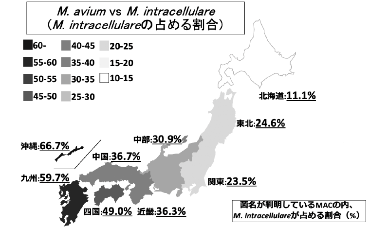 図1